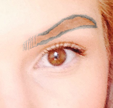 The dark lines show where she applied the dip brow which she then blended into the middle of the brow. She used whatever was left on the brush to feather in the hairs closest to my nose by making small strokes upwards.