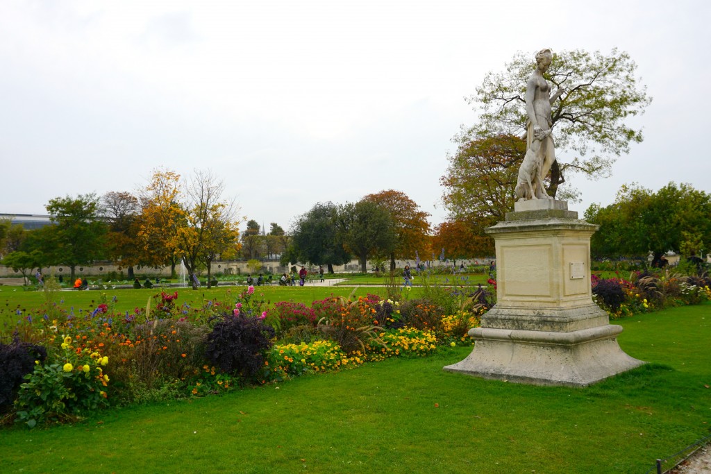 Beautiful flowers at the Tuileries Garden in Paris