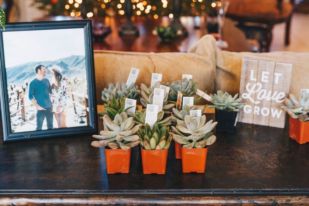 let-love-grow-succulents-bridal-shower-favor