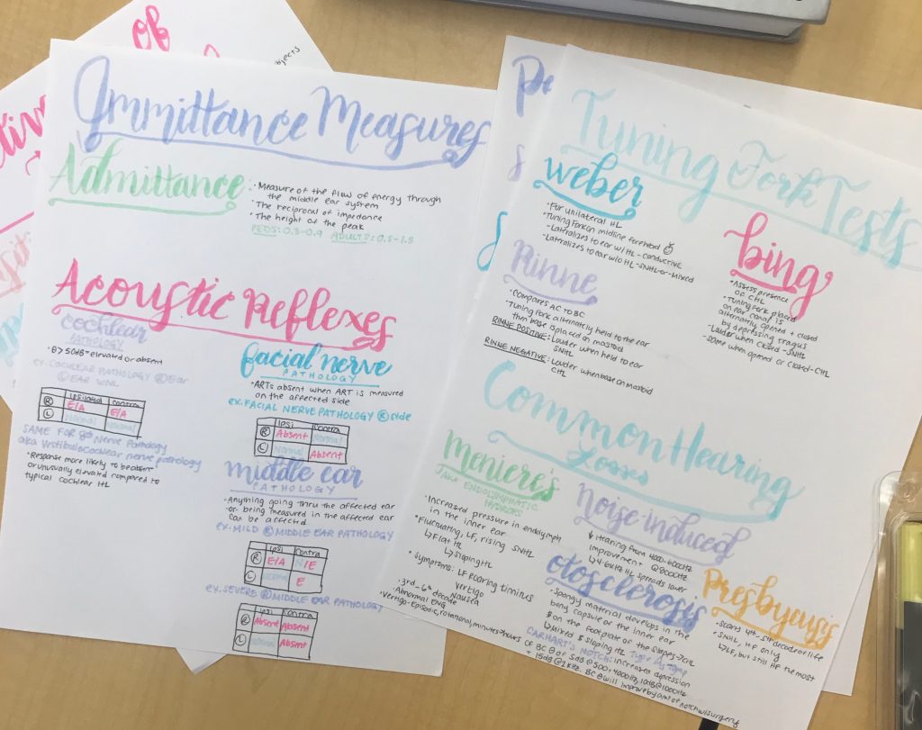 Using calligraphy on my audiology study notes